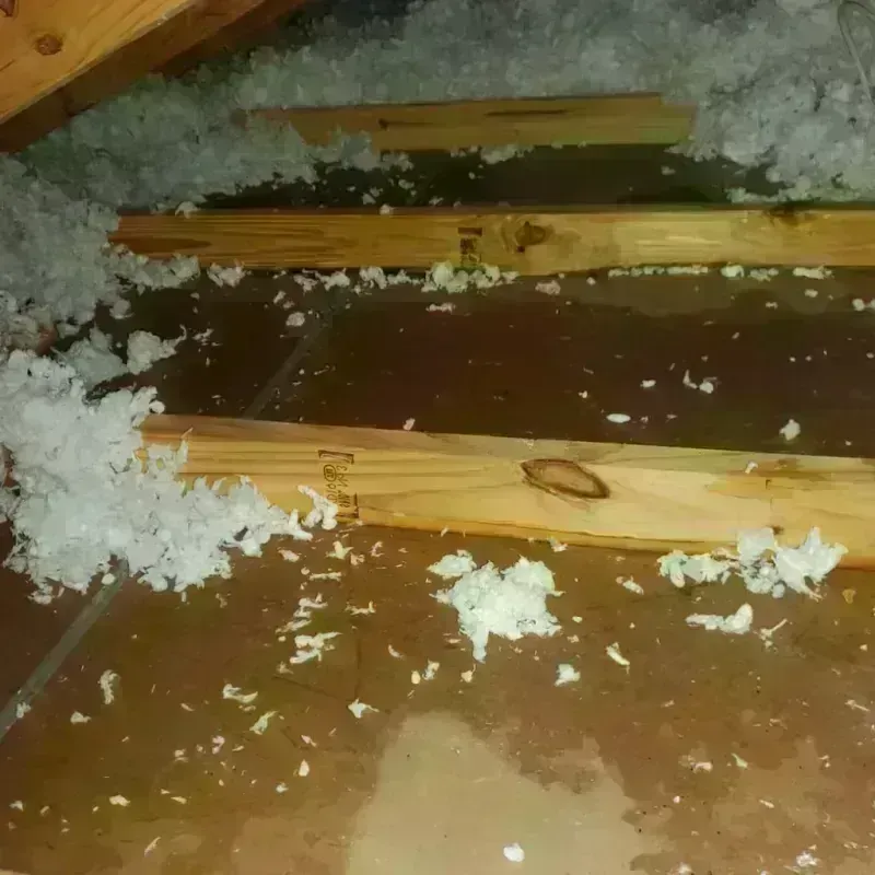 Attic Water Damage in Grand Island, NY